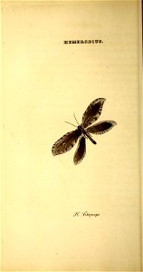 n49_w1150