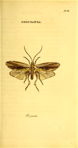 n44_w1150