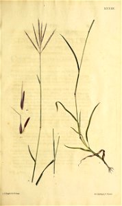 n306_w1150