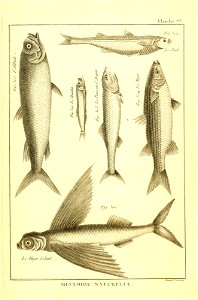 n428_w1150