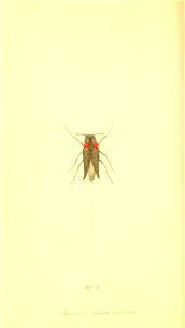 n497_w1150