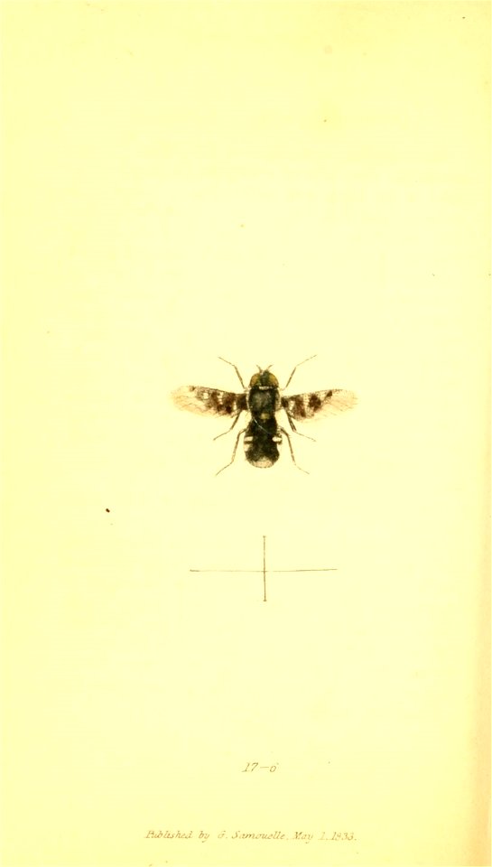 n437_w1150