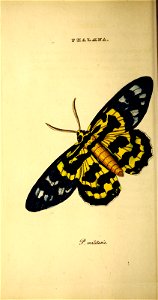 n25_w1150