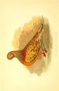n425_w1150