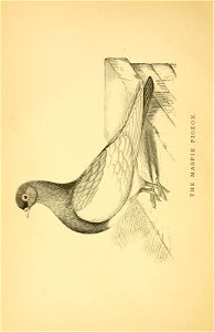 n421_w1150