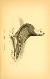 n120_w1150