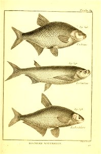 n450_w1150