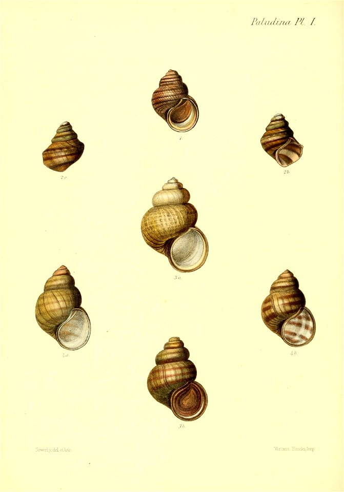n69_w1150