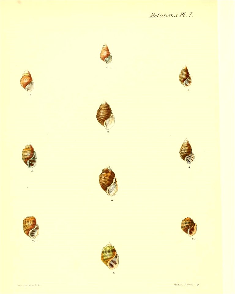 n503_w1150
