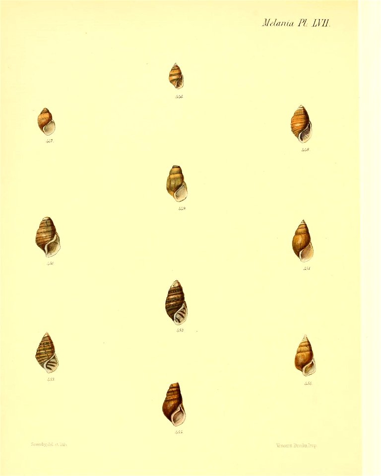 n427_w1150