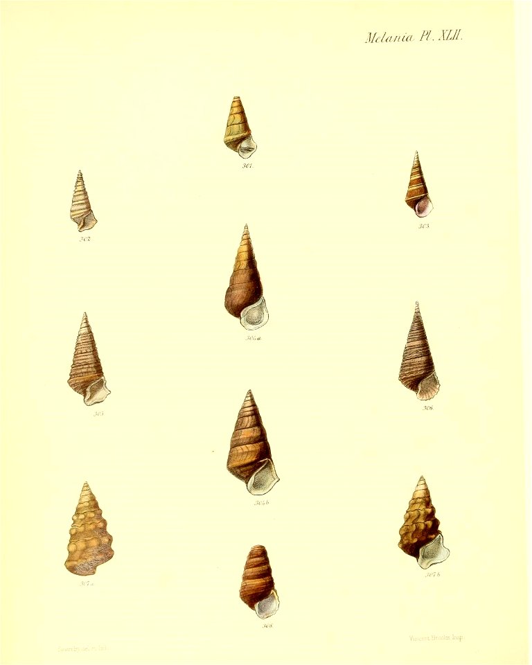 n367_w1150