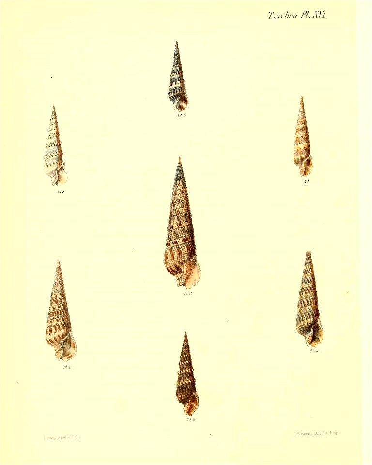 n115_w1150