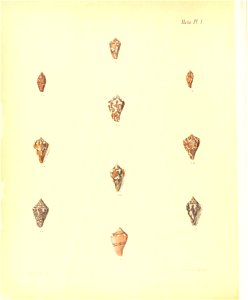 n403_w1150