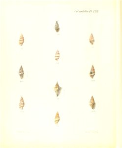 n337_w1150