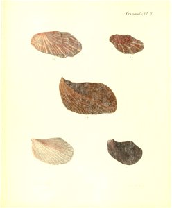 n207_w1150
