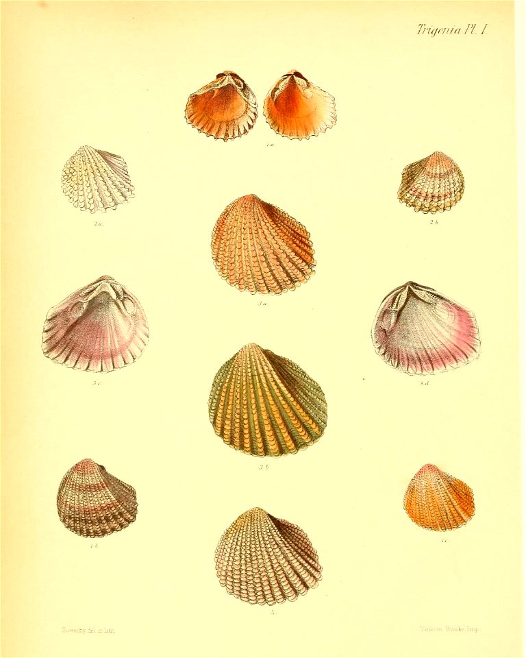 n569_w1150