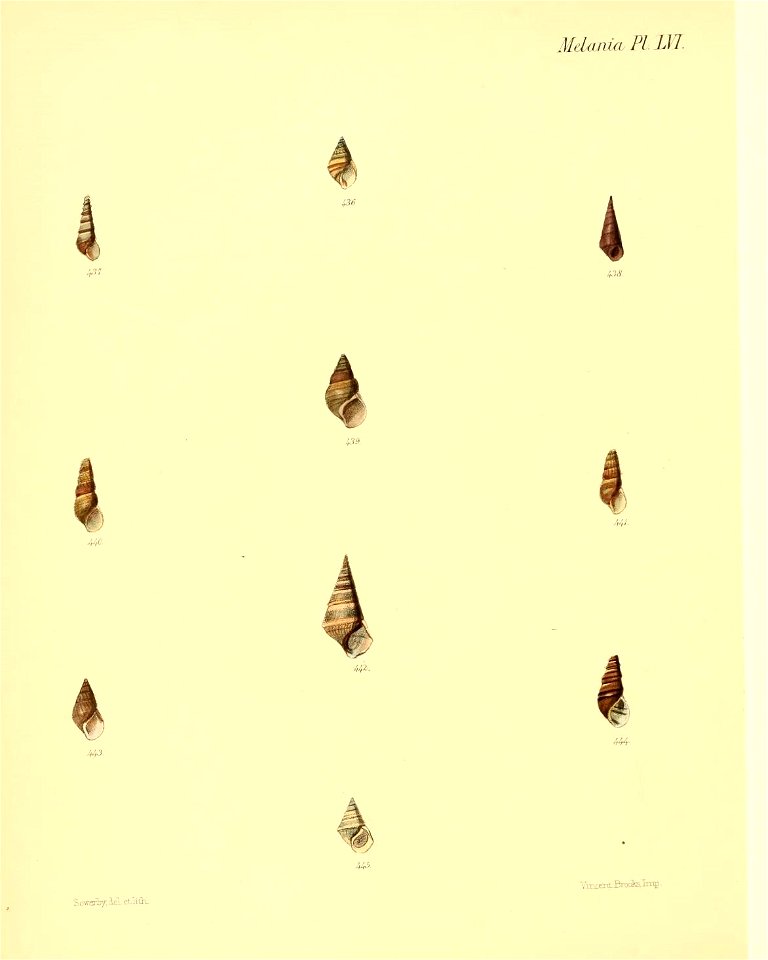 n423_w1150