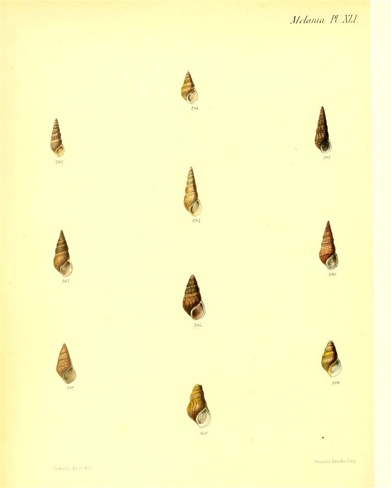 n363_w1150
