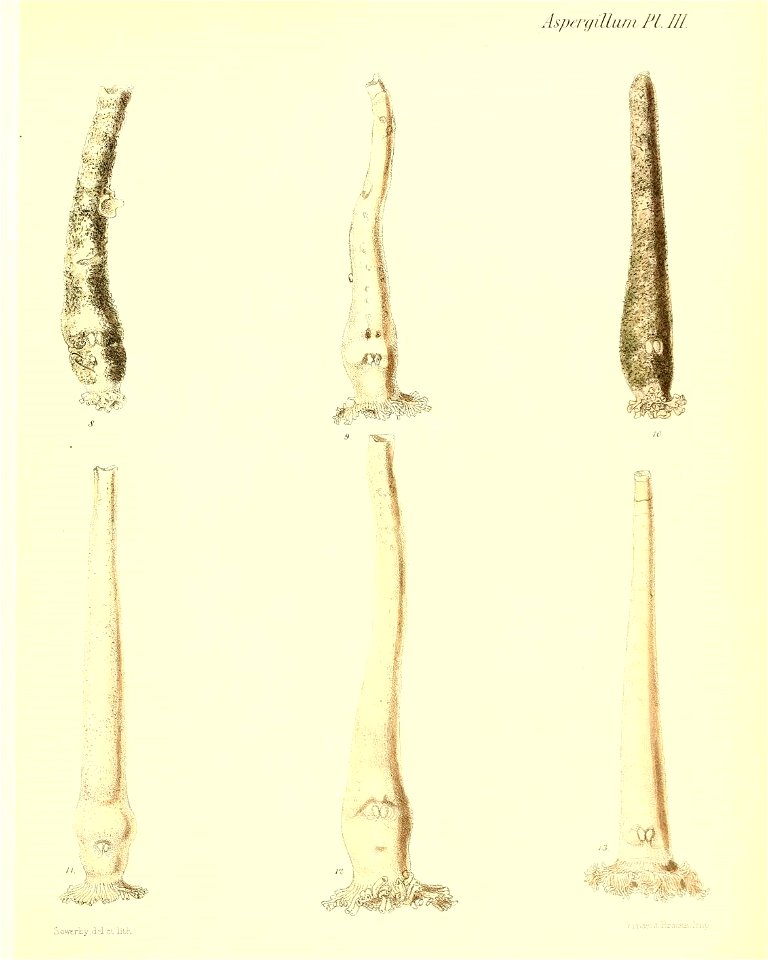 n176_w1150