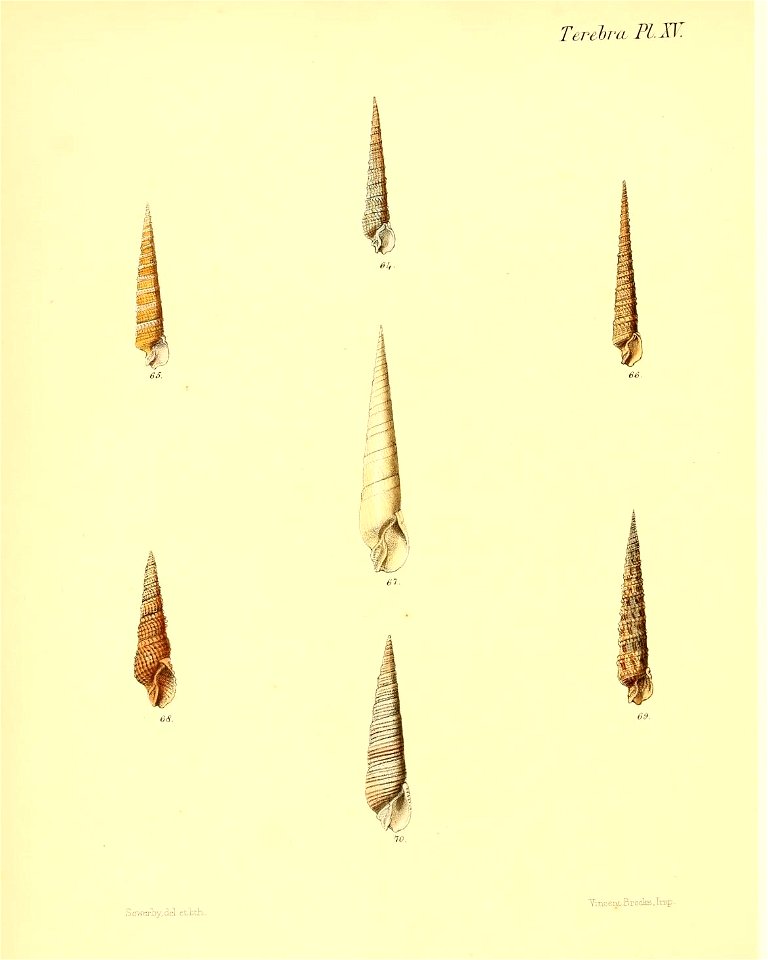 n111_w1150