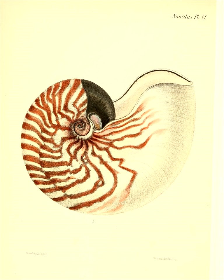 n49_w1150