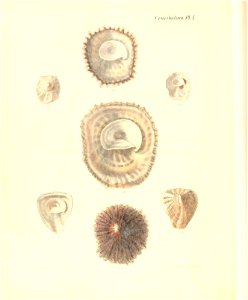 n469_w1150
