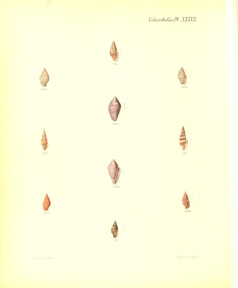 n393_w1150