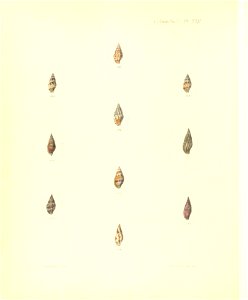 n333_w1150