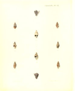 n273_w1150