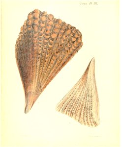 n71_w1150