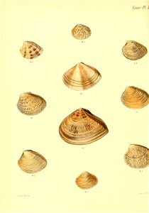 n393_w1150