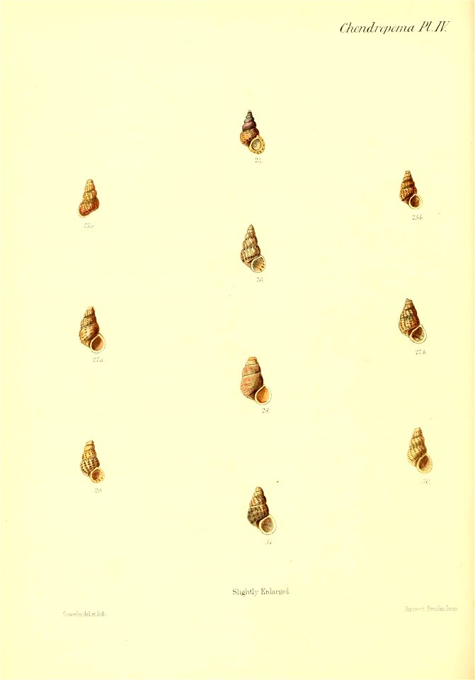 n193_w1150