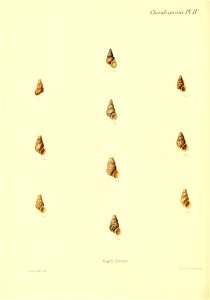 n193_w1150