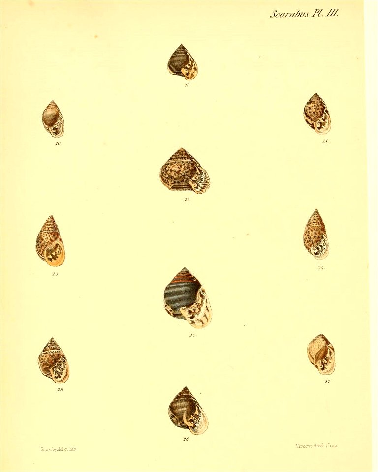 n563_w1150
