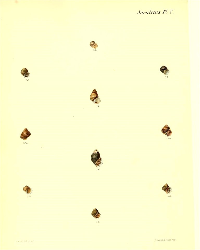 n491_w1150