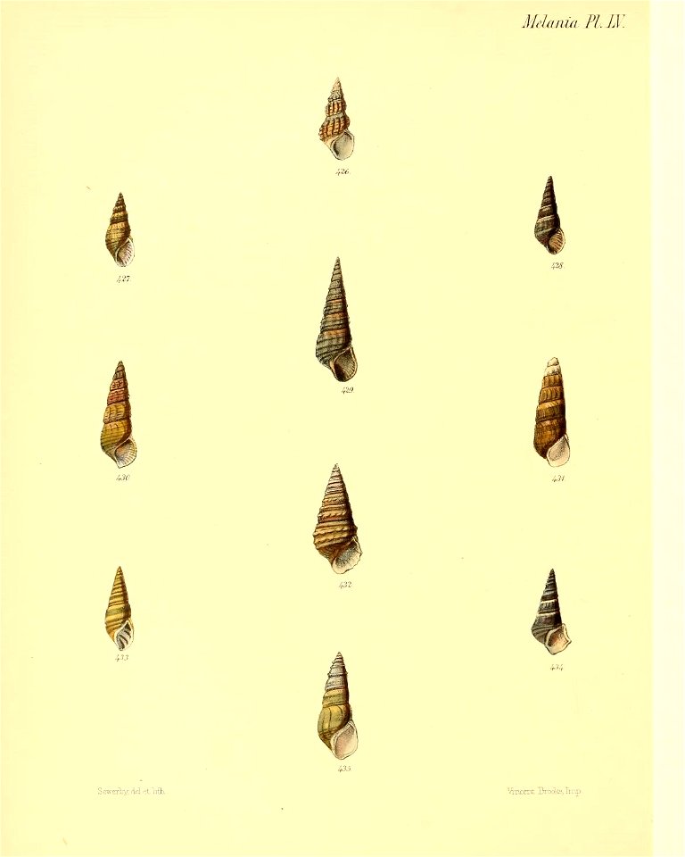 n419_w1150