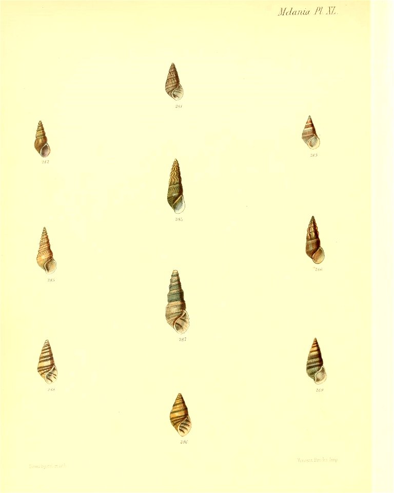 n359_w1150
