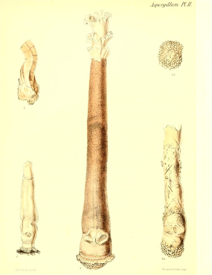 n173_w1150