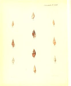 n389_w1150