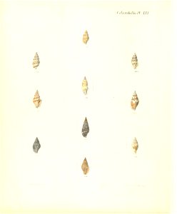 n329_w1150