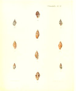 n269_w1150