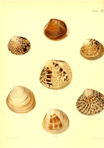 n521_w1150