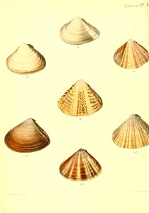 n453_w1150