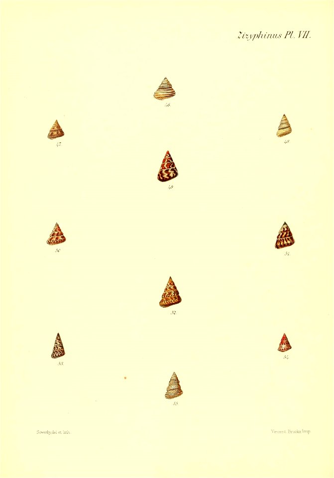 n51_w1150