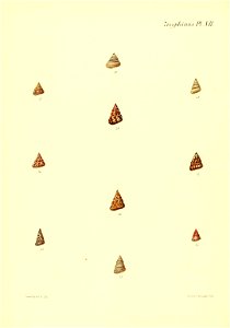 n51_w1150