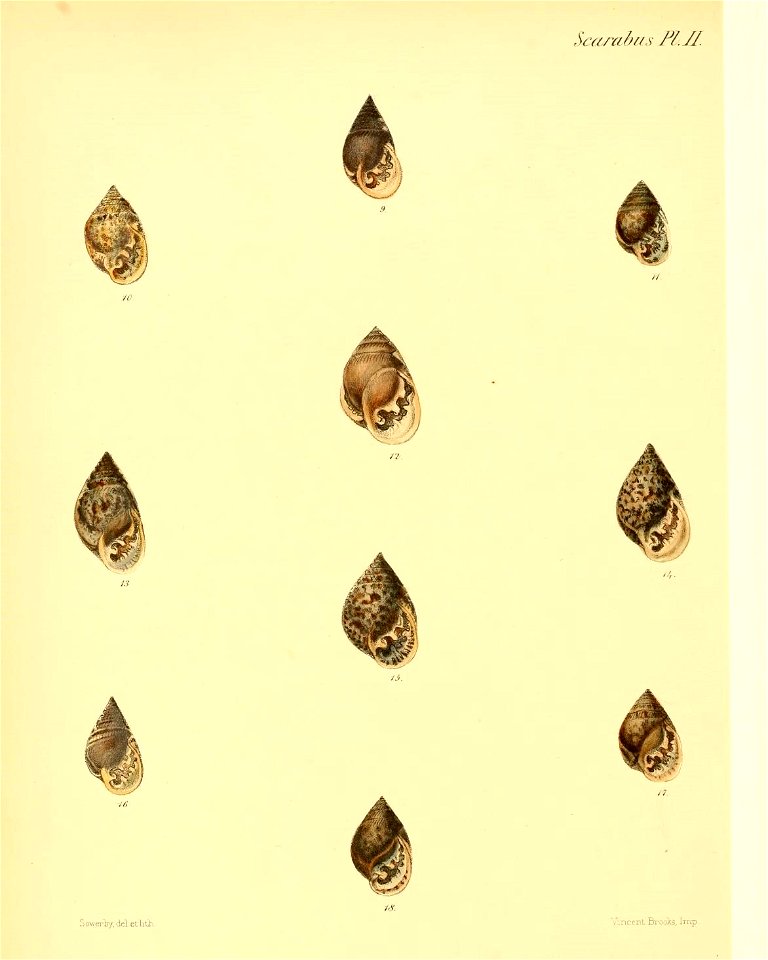 n559_w1150