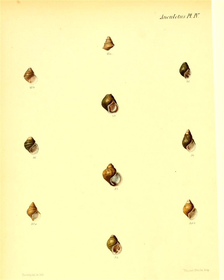 n487_w1150