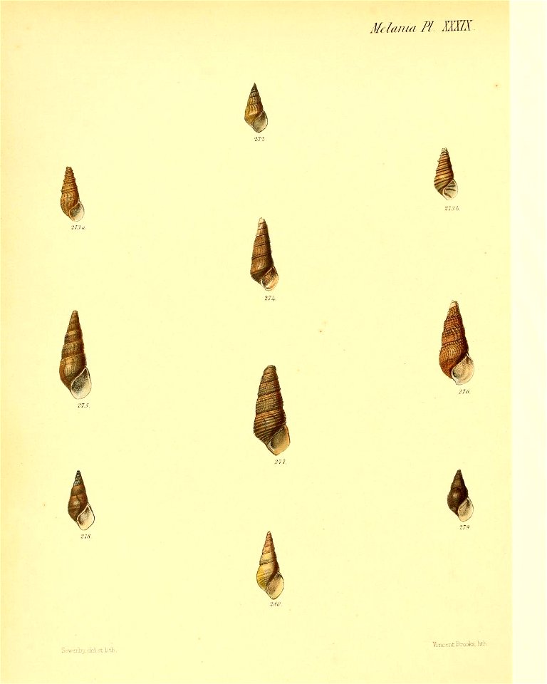 n355_w1150