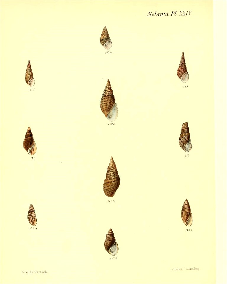 n295_w1150