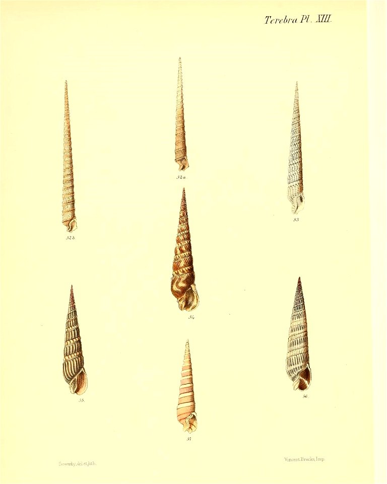 n103_w1150
